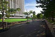 さくらの森