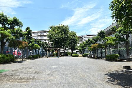 中島公園(70m)