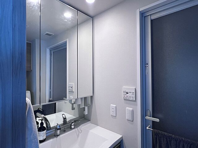 洗面 サンクレイドル武蔵野鷹の台 2階/-