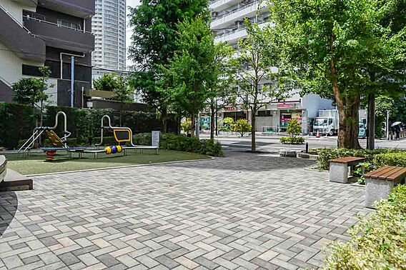 敷地北側にはコ...