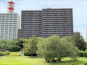 20階建て・総戸数246戸・タイル張りの建物外観