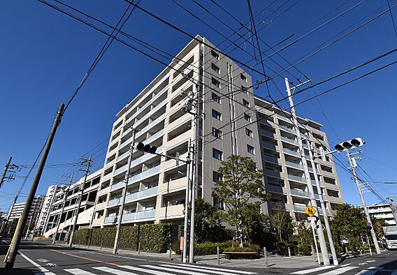 堂々と佇むタイ...