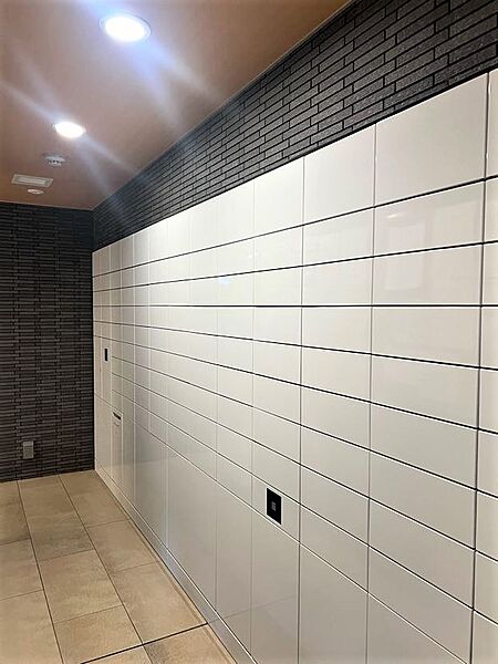 アデニウム上麻生