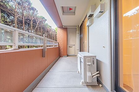LDと洋室にまたがるバルコニーです(眺望は永続的に保証するものではありません)