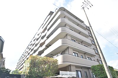 外観:外観 外観:外観
