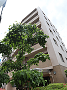 8階建て、8階部分の北・東角のお部屋です。