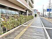 広々とした遊歩道です