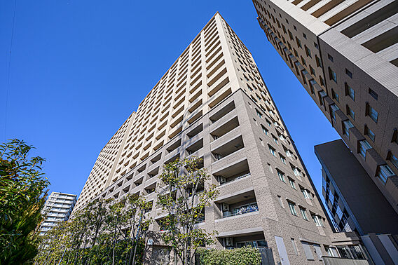 建物外観（南側...