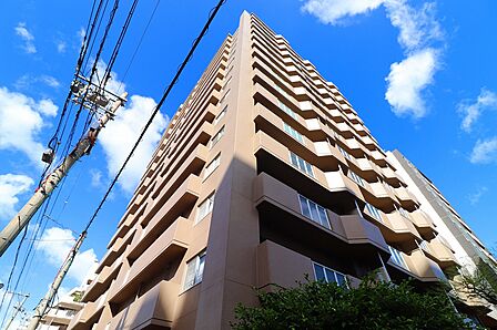 外観(西側から撮影)