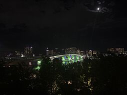 バルコニーからの眺望、夜間にはライトアップされた豊洲大橋の眺望が楽しめます
