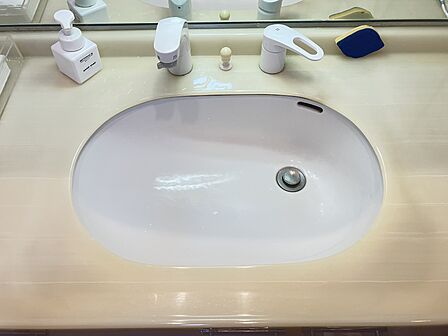 ハンドシャワー付きの洗面台、収納付きで朝の身支度もスムーズ。