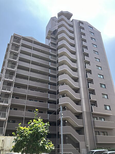 北方向からの外観