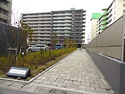 アルファステイツ米原