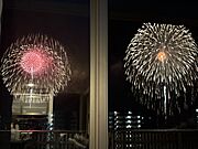 リビングからの眺望