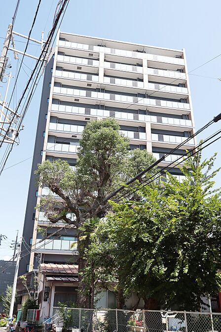 13階建て12階部分・角住戸・日当たり・眺望良好