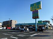 杏林堂　向宿店（620m）