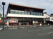遠鉄ストア　ウェル鴨江店（350m）