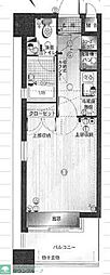 ダイナコートブロッサム天神南 10階/-
