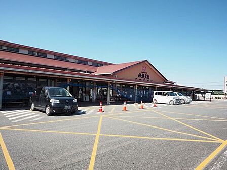スーパー JA糸島産直市場 伊都菜彩 1000m