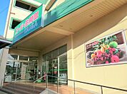TAIGA芹が谷店　約700ｍ