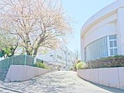 横浜市立汲沢小学校　約80ｍ　交通量が少ないため安心して通学いただけます。