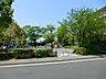 周辺：中坪公園　約428ｍ