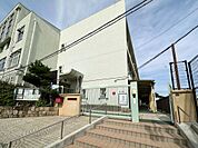 霞ヶ丘小学校　約490ｍ