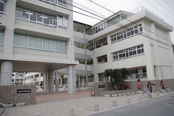 小学校「緑井小学校まで261ｍ」