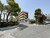 【周辺環境】三郷市立早稲田中学校まで1800ｍ　徒歩23分です。
