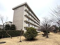 千葉県柏市大津ケ丘2丁目31：物件画像