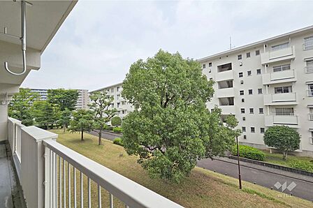 バルコニーからの眺め（南東方向）［2026年6月19日撮影］