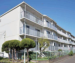 茅ヶ崎市松が丘2丁目　茅ヶ崎海岸松が丘ハイツJ棟　206号室