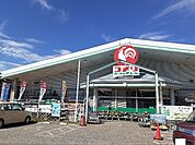 ホームセンター「コメリハード＆グリーン安茂里店まで1596m」
