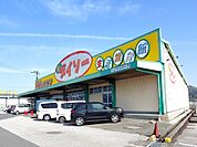 ザ・100SHOPダイソー野市店