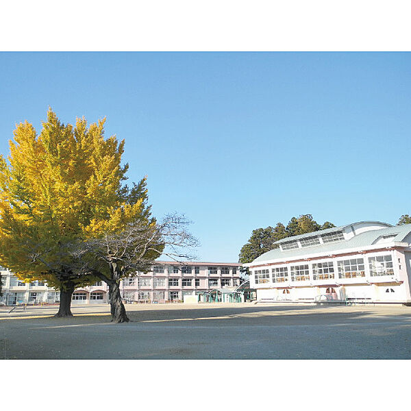画像23:水戸市立河和田小学校