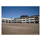 水戸市立三の丸小学校