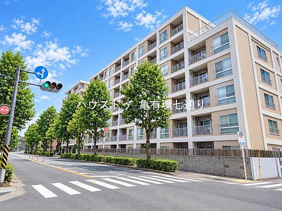 前面道路含む現...