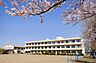 周辺：【小学校】豊田小学校まで995ｍ