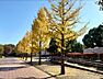 周辺：【公園】松ケ丘公園まで541ｍ