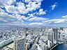 その他：【 54階プレミアムフロア 】高層階につき圧倒的な眺望が得られます