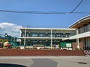 認定こども園 うちの幼稚園・園児数174名・教員数26名・保育時間外の習い事