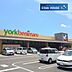 周辺：ヨークベニマル若林店 徒歩13分。 980m