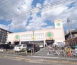 ライフ 西京極店まで270m