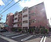 京都府京都市右京区西京極北大入町：物件画像／ウインズリンク株式会社　アパマンショップ二条駅前店