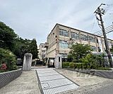 蜂ヶ岡中学校まで600m