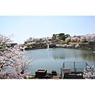 公園「中山田池公園まで1200ｍ」