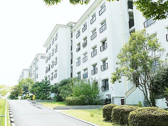 UR都市機構中登美団地F—6_トップ画像