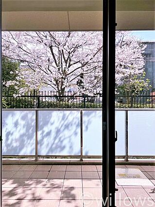 春には桜を望め...