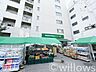 周辺：マルエツプチ渋谷神泉店 徒歩4分。 260m