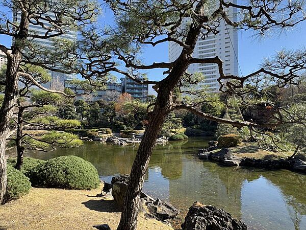 周辺を拡大表示